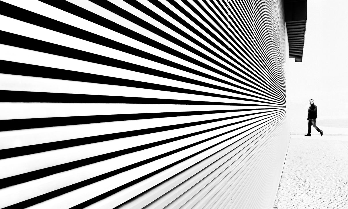 Thingy Wingy Poster och Canvastavla