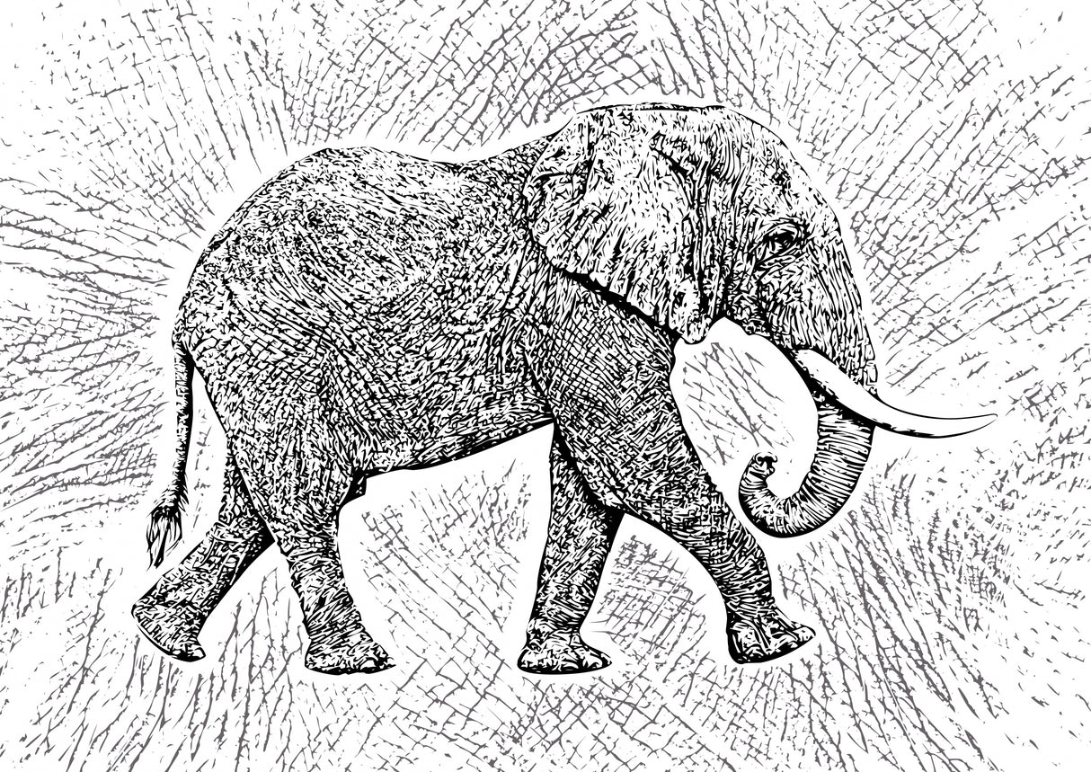 Africa Elephant texture pattern Poster och Canvastavla