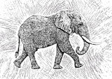 Africa Elephant texture pattern Poster och Canvastavla