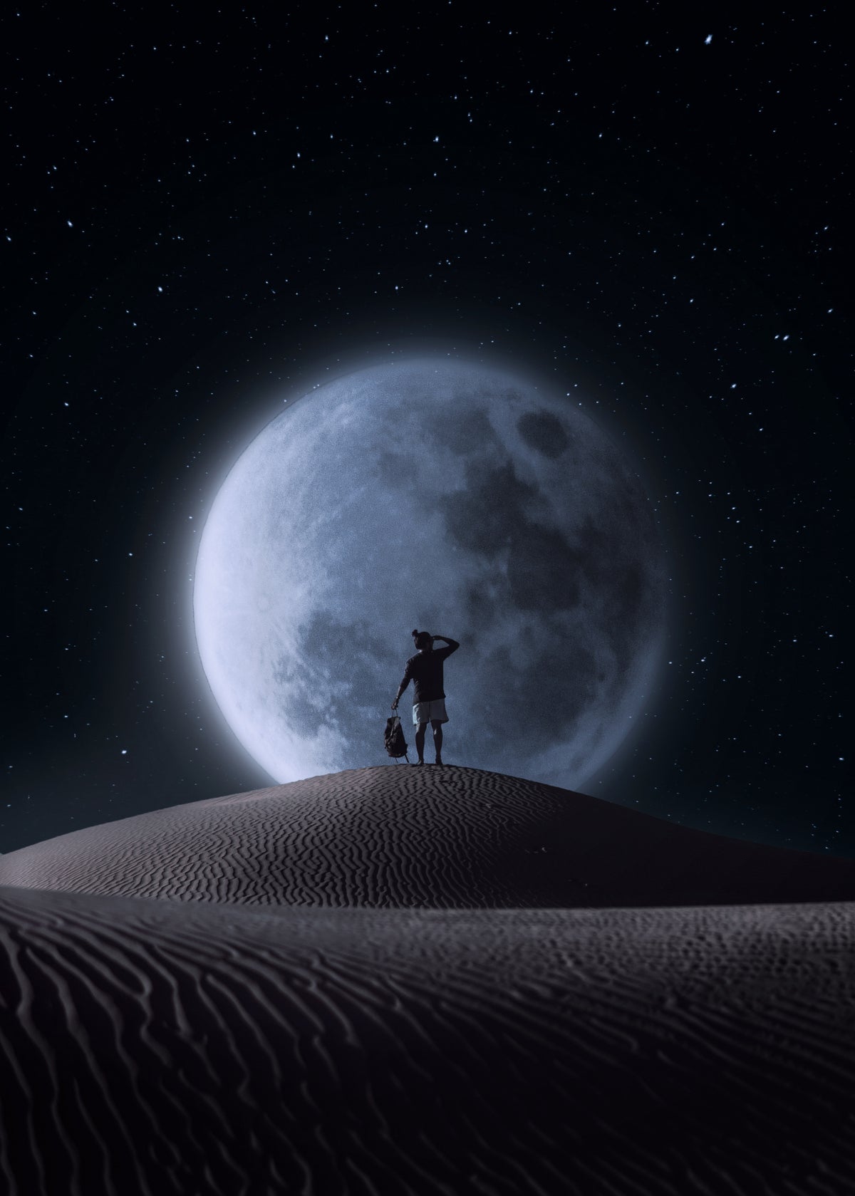 Travel to the Moon Poster och Canvastavla
