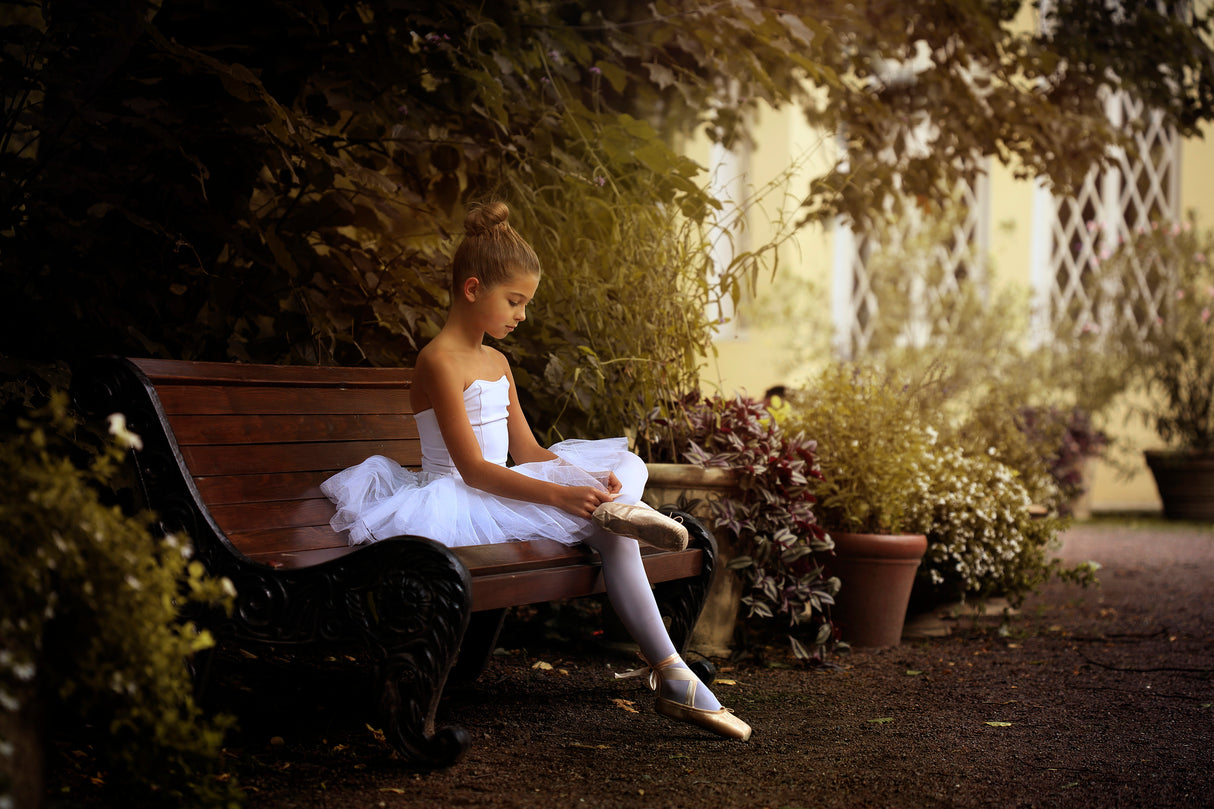 The little dancer Poster och Canvastavla
