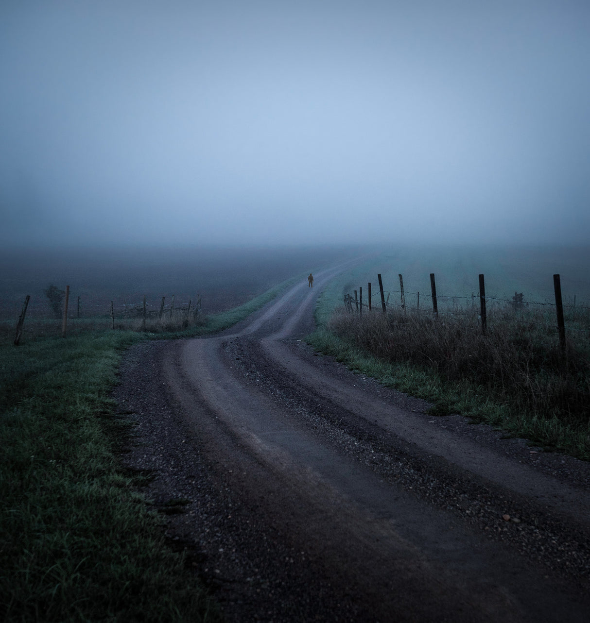 Into the unknown Poster och Canvastavla