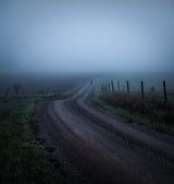 Into the unknown Poster och Canvastavla
