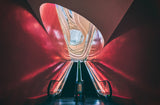 Butterfly escalator Poster och Canvastavla
