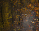 Autumn impression Poster och Canvastavla