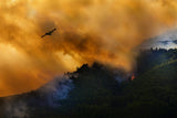 Fire in the Cilento National Park - Italy Poster och Canvastavla