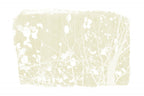Ivory Tree Foliage Silhouette Poster och Canvastavla