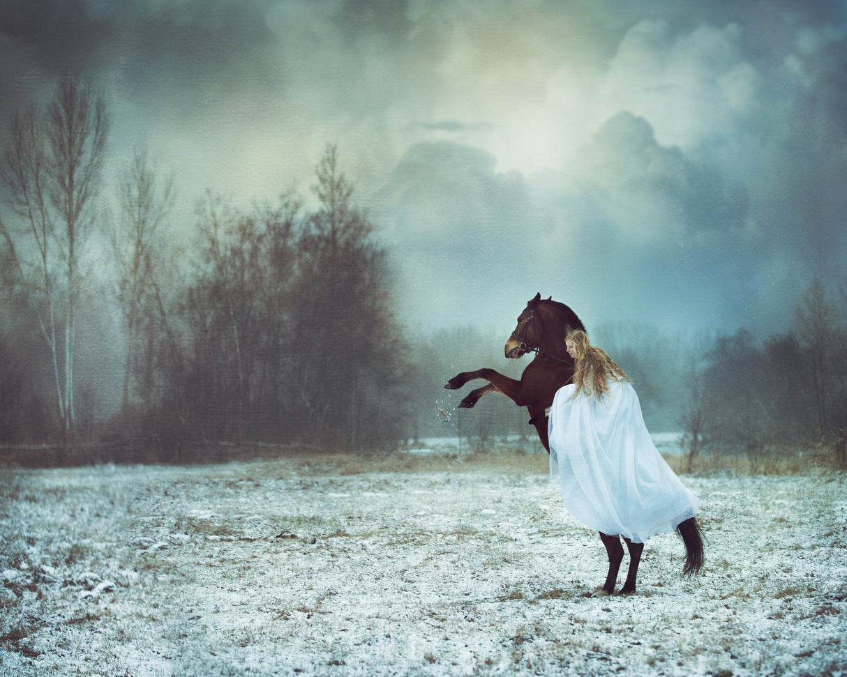 dances with the horse Poster och Canvastavla
