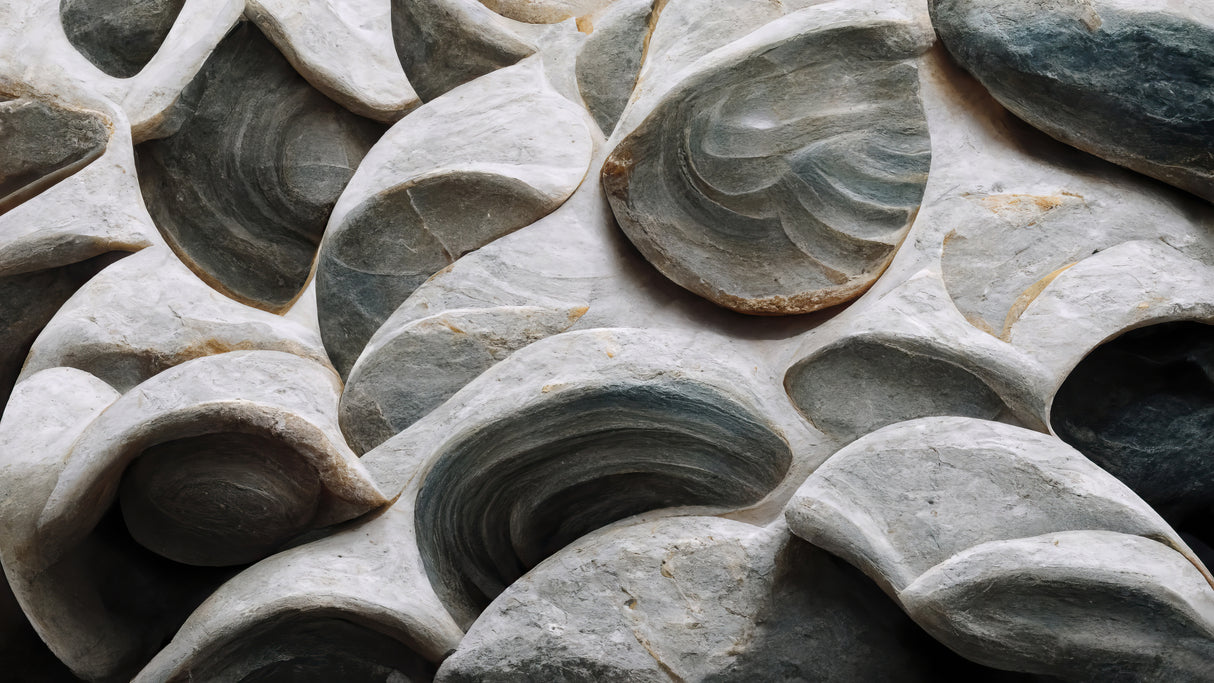 Sea Shells Detail No 5 Poster och Canvastavla