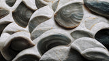 Sea Shells Detail No 5 Poster och Canvastavla