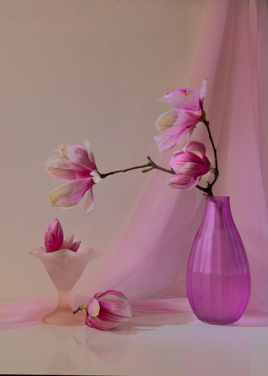 Magnolia flower Poster och Canvastavla