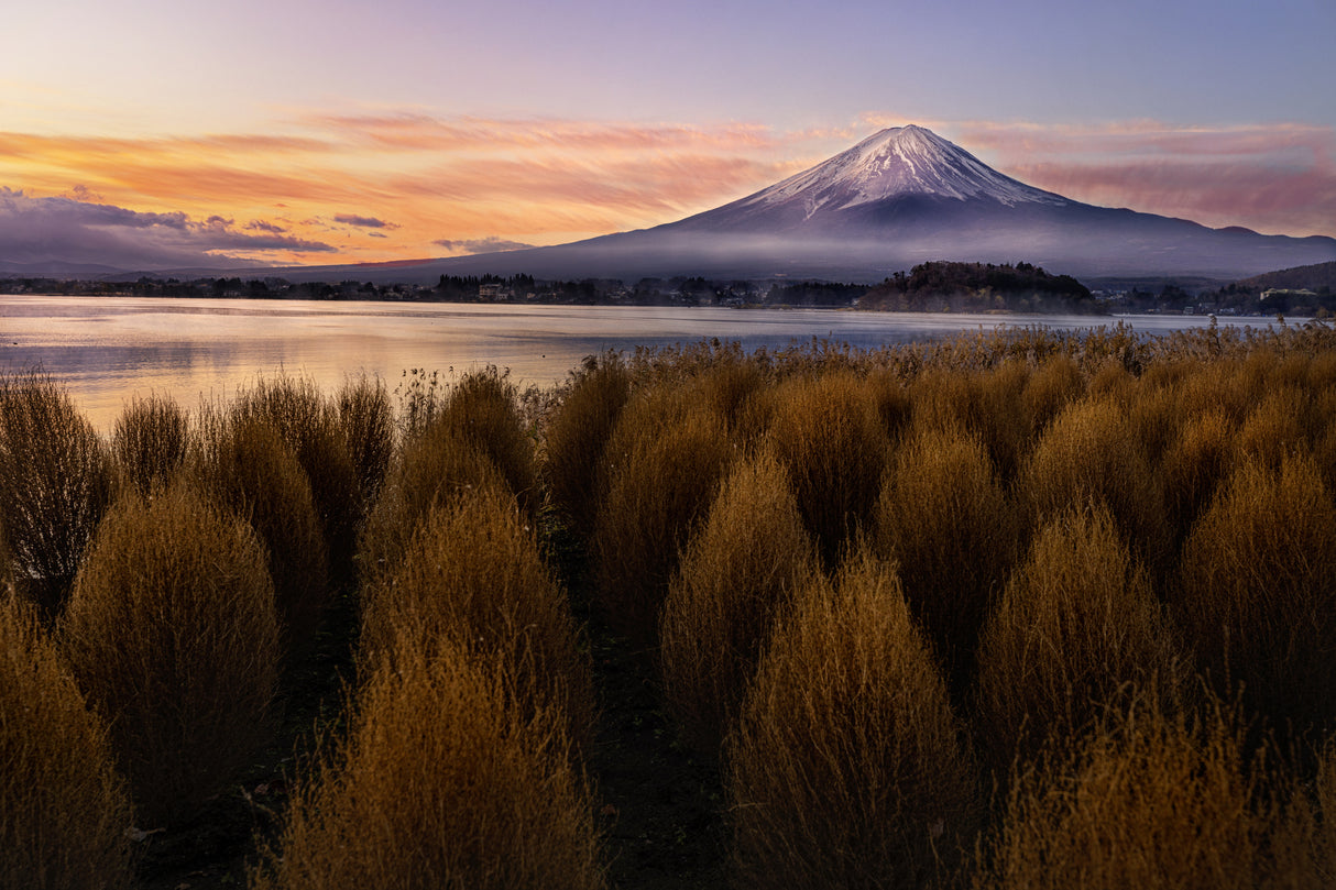 Mount Fuji at Morning Poster och Canvastavla