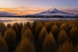Mount Fuji at Morning Poster och Canvastavla