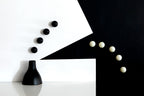 Call black white Poster och Canvastavla
