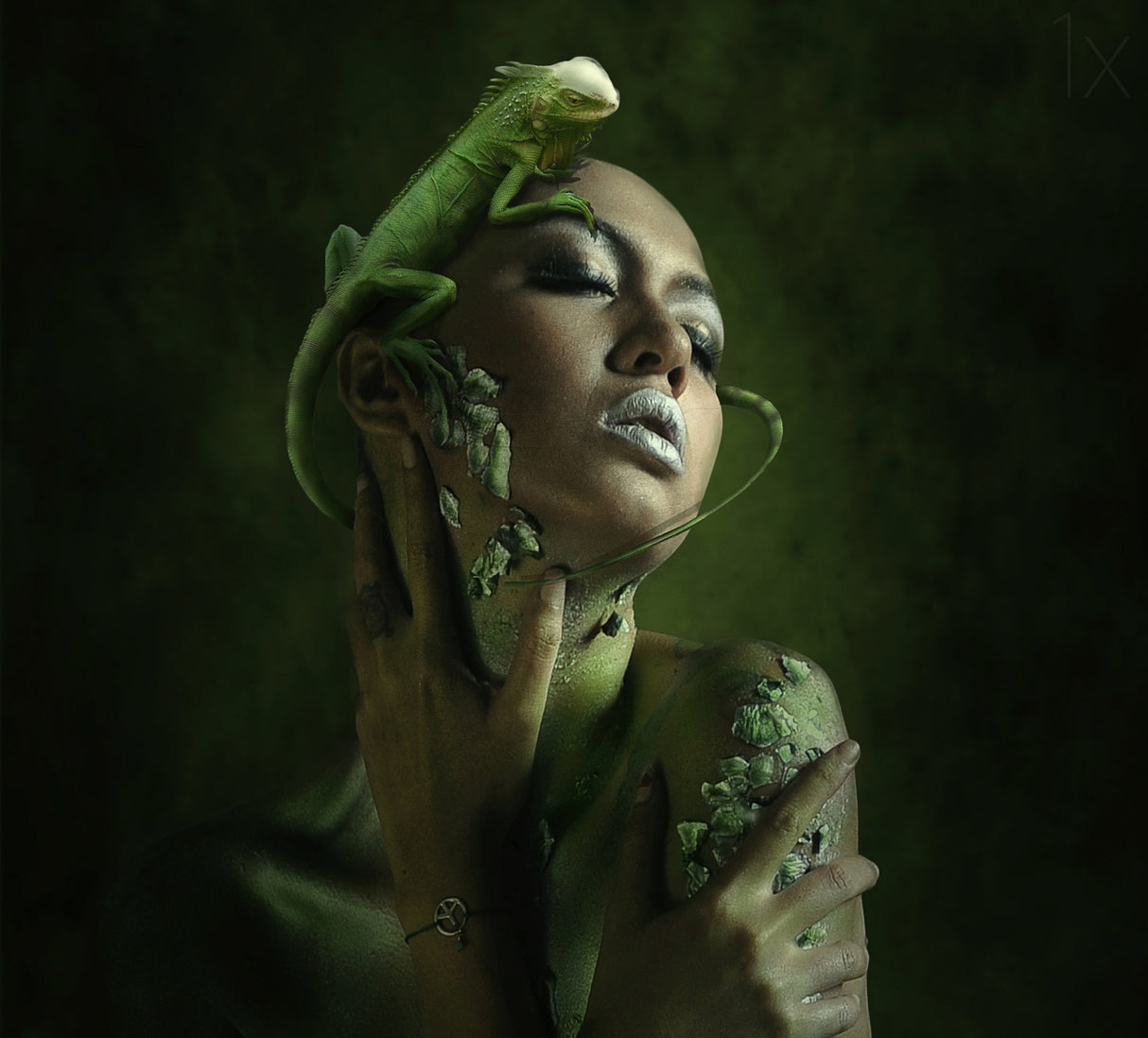 Karma Chameleon Poster och Canvastavla