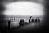 Waiting for Someone Poster och Canvastavla