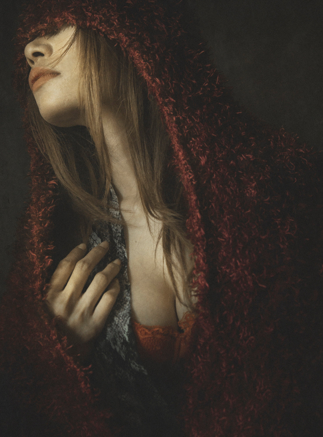 Red Hood Witch 2 Poster och Canvastavla