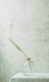 Ephemeral White (2) Poster och Canvastavla