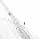 7snow day Poster och Canvastavla