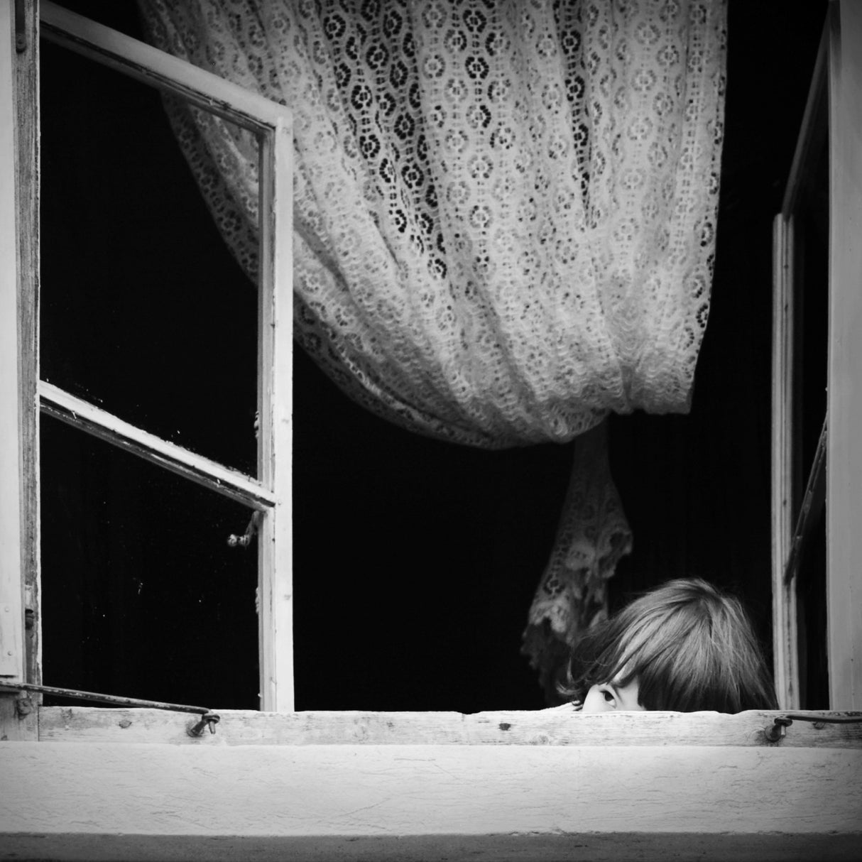 hide and seek Poster och Canvastavla