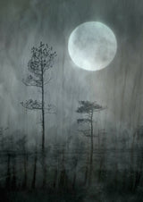Under the moon Poster och Canvastavla