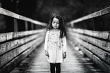 The bridge Poster och Canvastavla