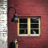 You are being watched! Poster och Canvastavla