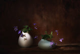 Springtime Poster och Canvastavla