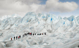 Hiking on Perito Moreno Poster och Canvastavla