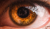 The lens is the mirror of the eye Poster och Canvastavla