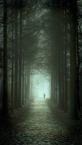 Tree Path Poster och Canvastavla