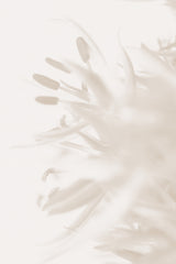 FLOWER BEIGE_2 Poster och Canvastavla