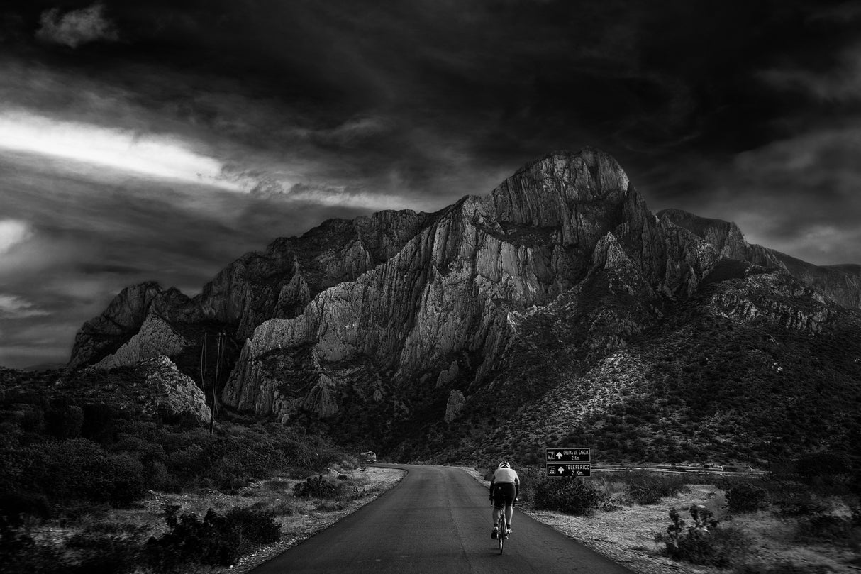 The path Poster och Canvastavla