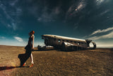 Last flight of my wings Poster och Canvastavla