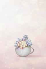 Succulent Poster och Canvastavla