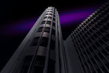 Purple touch Poster och Canvastavla