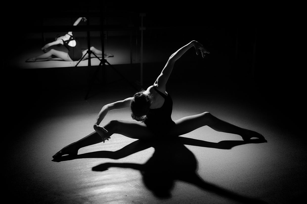 B&amp;W Ballet Poster och Canvastavla