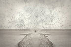 Pursuit of Dreams Poster och Canvastavla