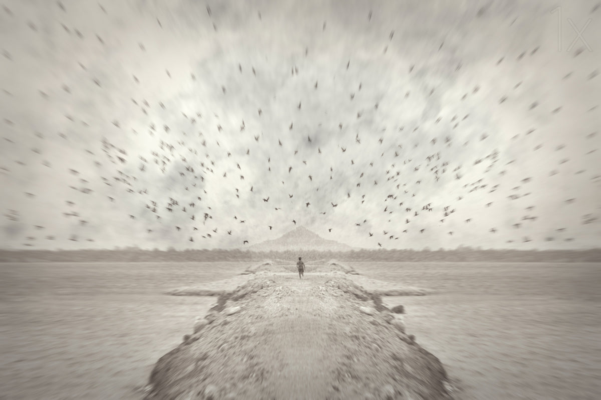 Pursuit of Dreams Poster och Canvastavla