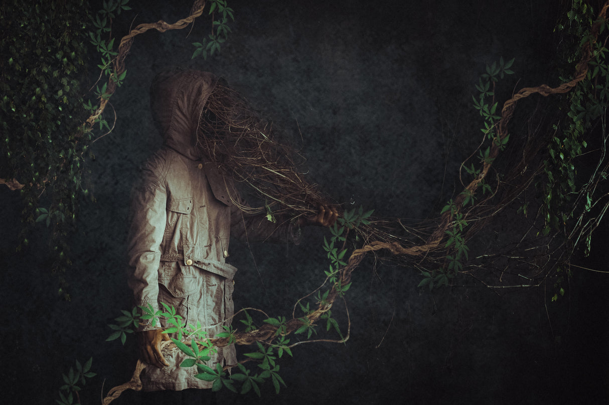 the root man Poster och Canvastavla