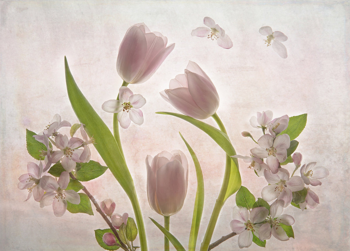 Spring Poster och Canvastavla