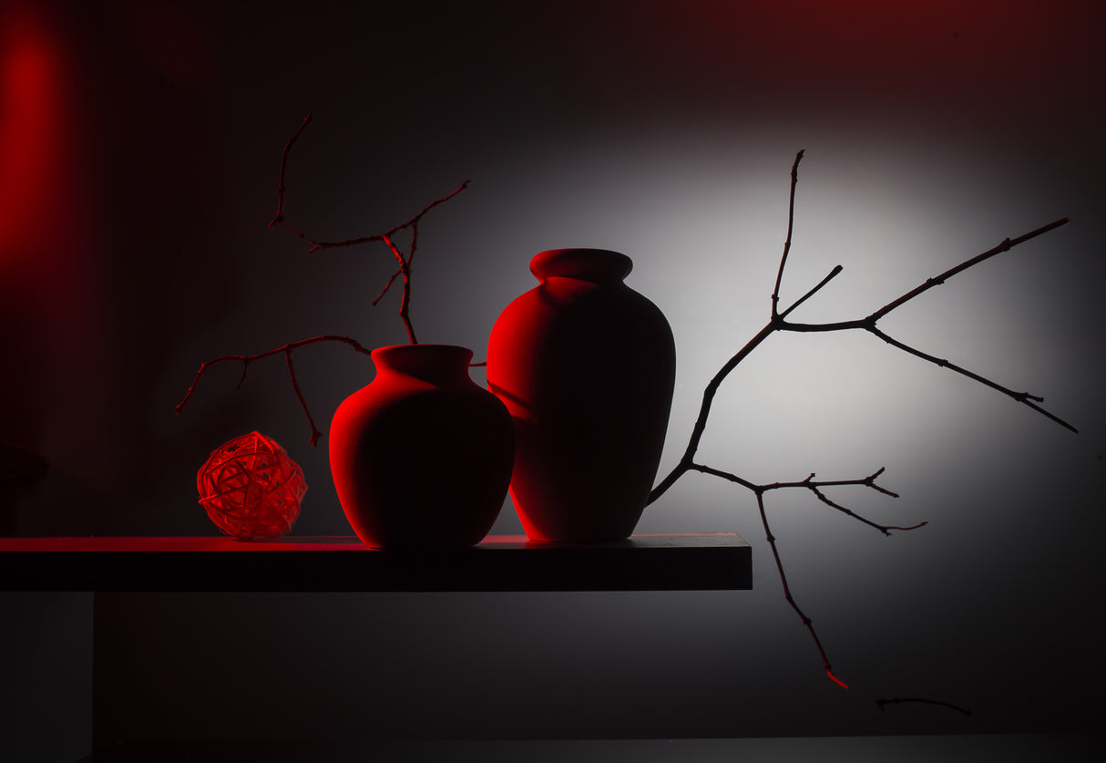 From the series "Red and Black" Poster och Canvastavla