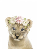 Floral Baby Lion Poster och Canvastavla