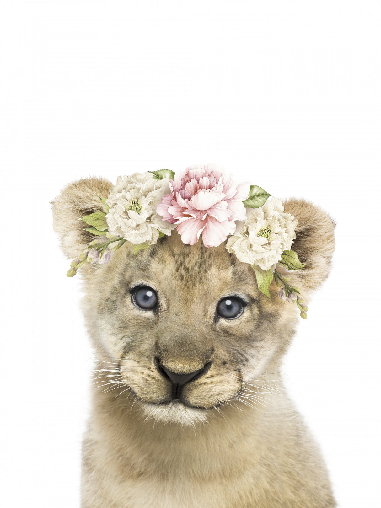 Floral Baby Lion Poster och Canvastavla