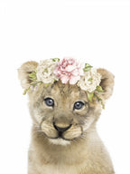 Floral Baby Lion Poster och Canvastavla