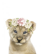 Floral Baby Lion Poster och Canvastavla