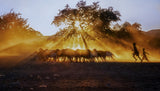 Shepherd Boy, Namibia Poster och Canvastavla