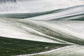 Winter** Poster och Canvastavla