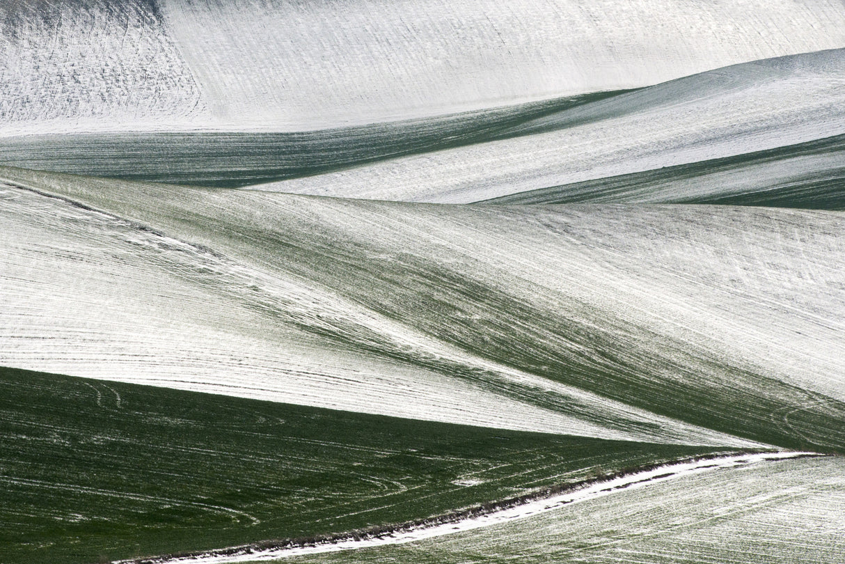 Winter** Poster och Canvastavla