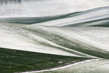 Winter** Poster och Canvastavla